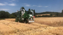 INTIA comienza a cosechar los ensayos de cereales con los que realizará el balance de la campaña y preparará la recomendación de variedades para 2020
