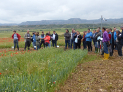 Treinta personas en la jornada sobre cultivos extensivos en producción ecológica organizada por INTIA