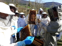 Veinte asistentes en el curso de apicultura organizado por INTIA