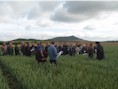 Más de 160 agricultores visitaron las demostraciones de cereales de INTIA