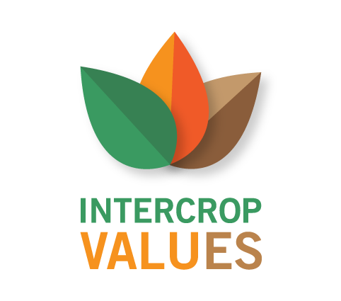 intervalue logo INTIA