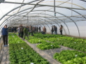 INTIA reunió a más de un centenar de profesionales en la jornada sobre cultivos en invernadero y nuevas tendencias en agricultura ecológica
