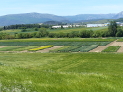 Navarra acoge una jornada técnica sobre diversificación y nuevos cultivos