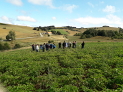 Patata de siembra ecológica, un cultivo rentable para los valles del Pirineo navarro