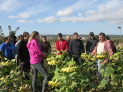 Jóvenes que se incorporan próximamente al sector agrario visitan de la mano de INTIA siete explotaciones de interés