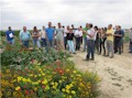 Un centenar de personas se reúne en la finca demostrativa de INTIA en Cadreita para la jornada de hortícolas de verano