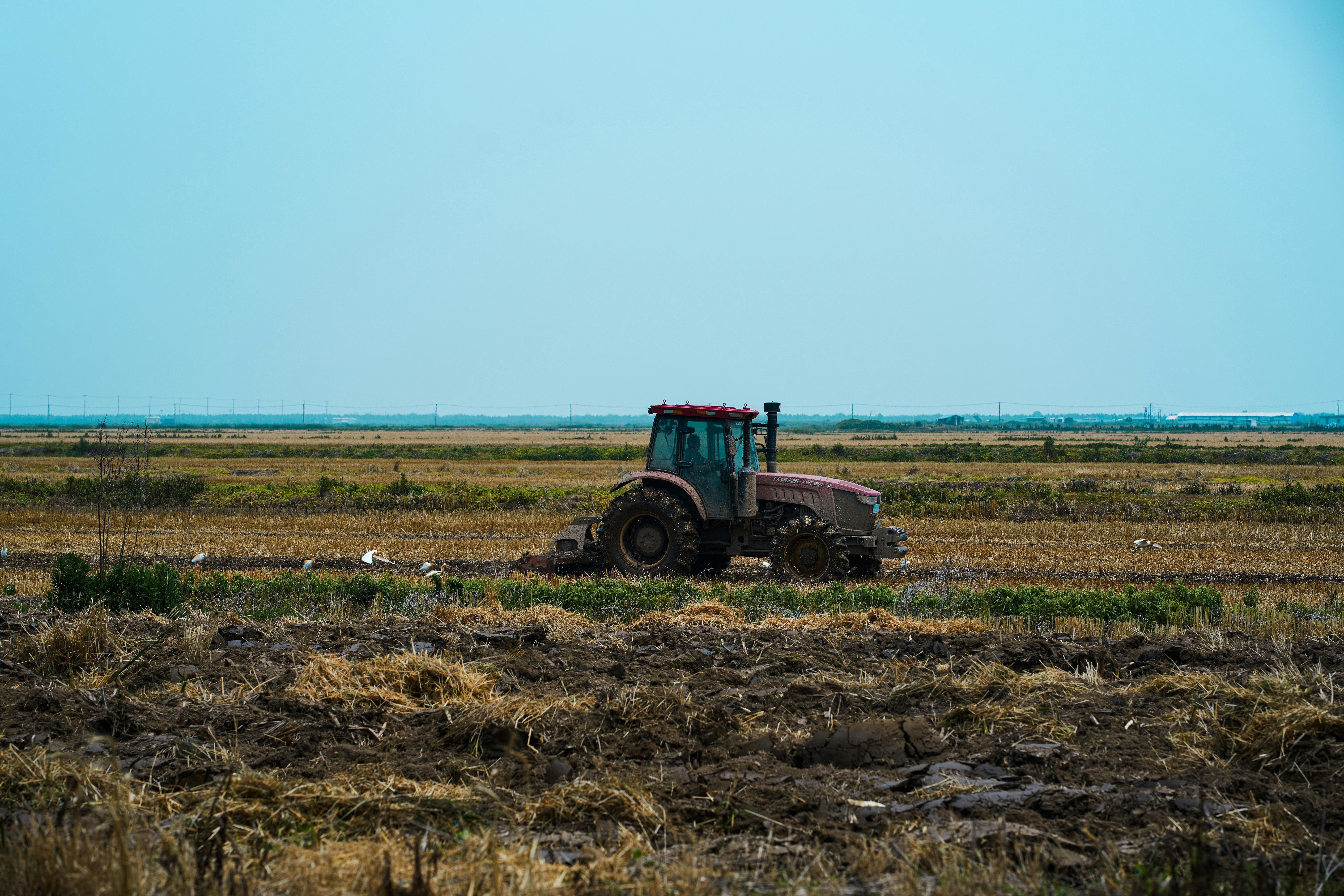 tractor laborando