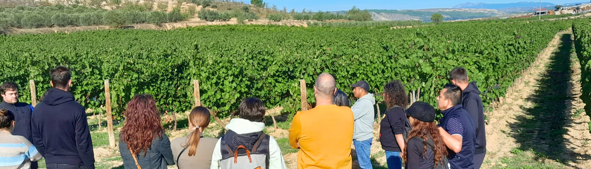 el grupo de jóvenes visita los viñedos de Bagordi