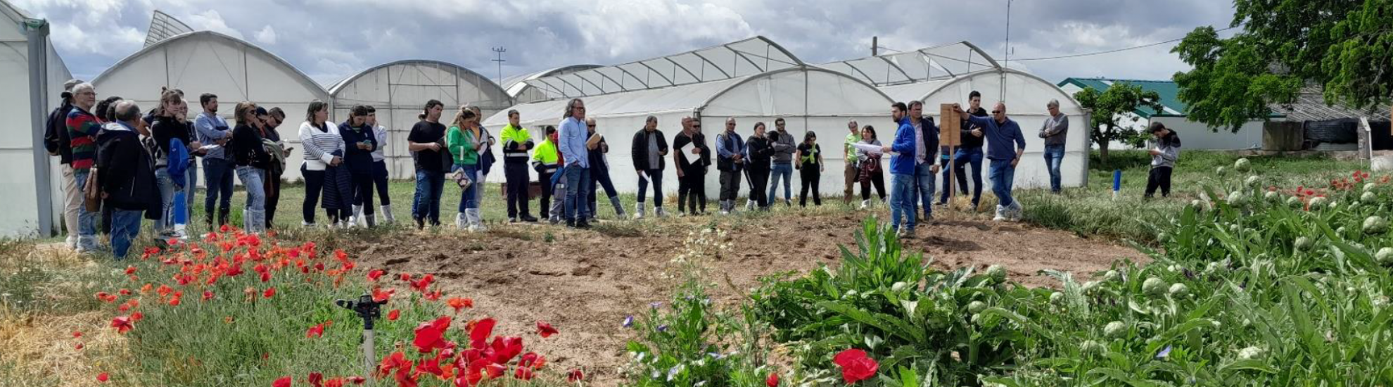 Innovación en control ambiental 