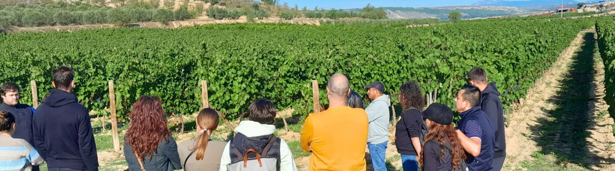 Visita a la bodega Bagordi