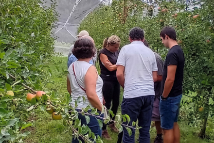 Visitas manzanos en Lleida