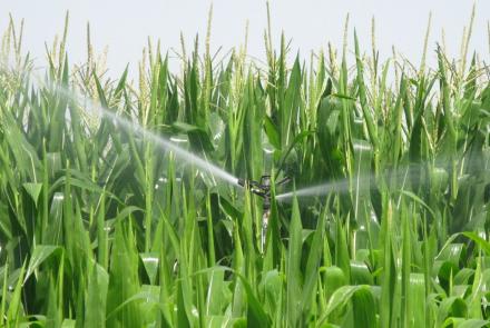 riego por aspersión