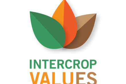 intervalue logo INTIA