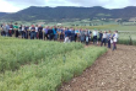 Más de 175 personas en las jornadas de campo que organiza INTIA sobre cultivos extensivos