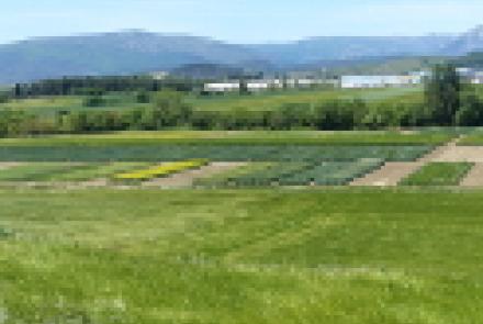 Navarra acoge una jornada técnica sobre diversificación y nuevos cultivos