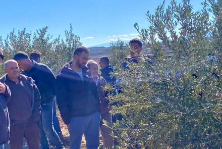 personas asistiendo a una formación sobre poda de olivo