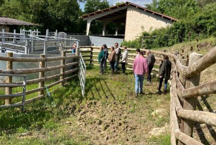 proyecto abena