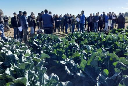 jornada de hortícolas