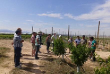 INTIA organizó un viaje técnico sobre fruticultura a Lleida y Zaragoza
