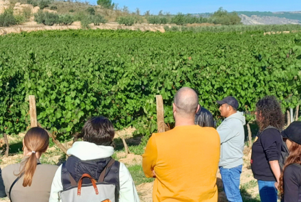 el grupo de jóvenes visita los viñedos de Bagordi